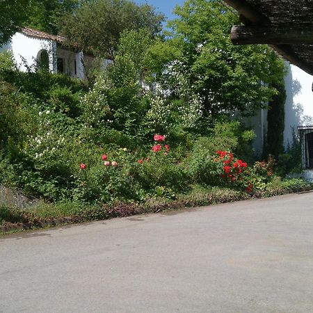 Finca Valbono Apartamentos Rurales Y Hotel Αραθένα Εξωτερικό φωτογραφία