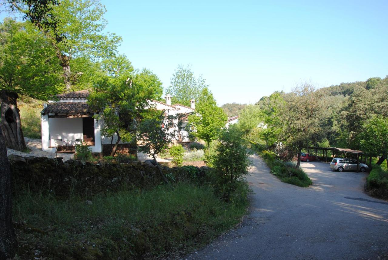 Finca Valbono Apartamentos Rurales Y Hotel Αραθένα Εξωτερικό φωτογραφία