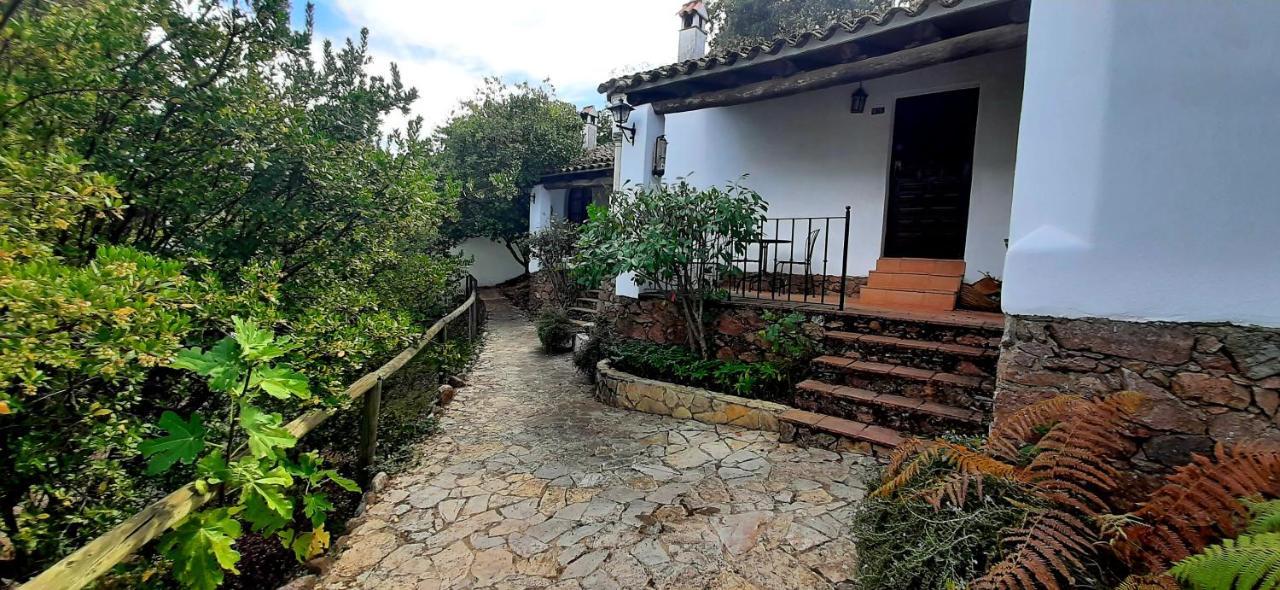 Finca Valbono Apartamentos Rurales Y Hotel Αραθένα Εξωτερικό φωτογραφία