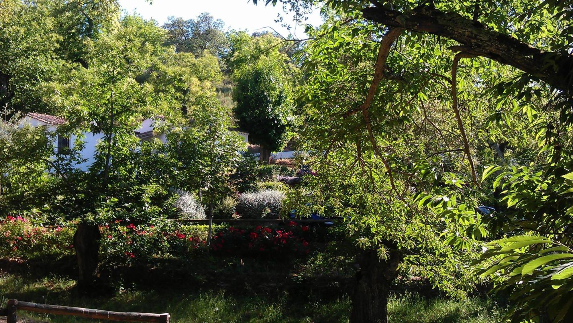 Finca Valbono Apartamentos Rurales Y Hotel Αραθένα Εξωτερικό φωτογραφία
